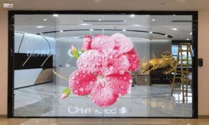 thuê màn hình led trong suốt