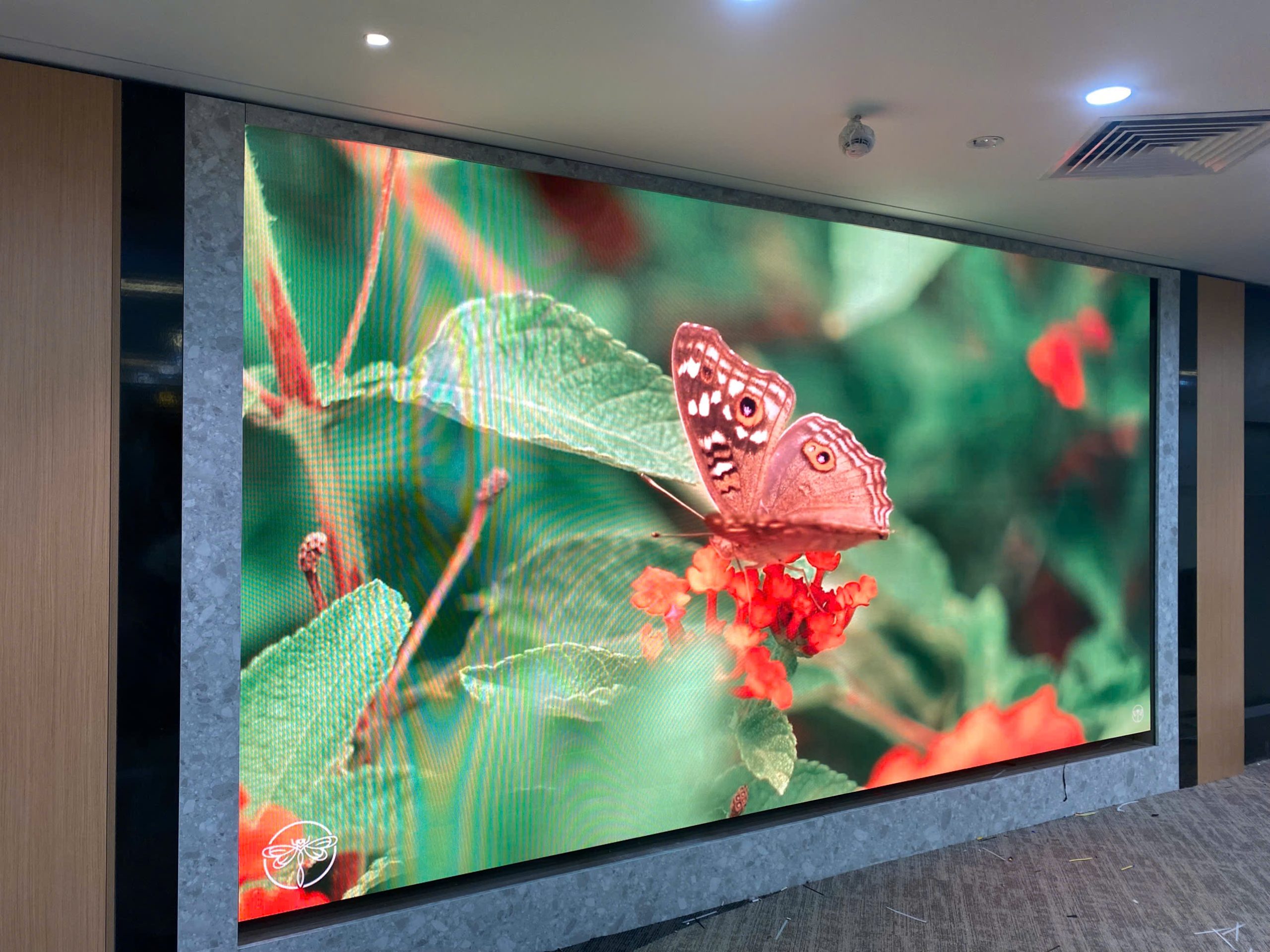 Màn hình LED P2 diện tích 9,3m² tại showroom Eurowindow