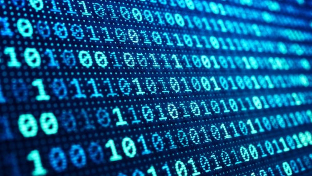 Bit chỉ có 2 giá trị hiển thị là 0 và 1