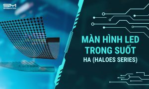 Màn Hình LED Trong Suốt HA (Haloes Series)