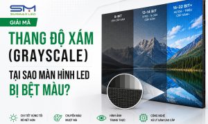 Giải Mã Thang Độ Xám (Grayscale): Tại Sao Màn Hình LED Bị Bệt Màu?